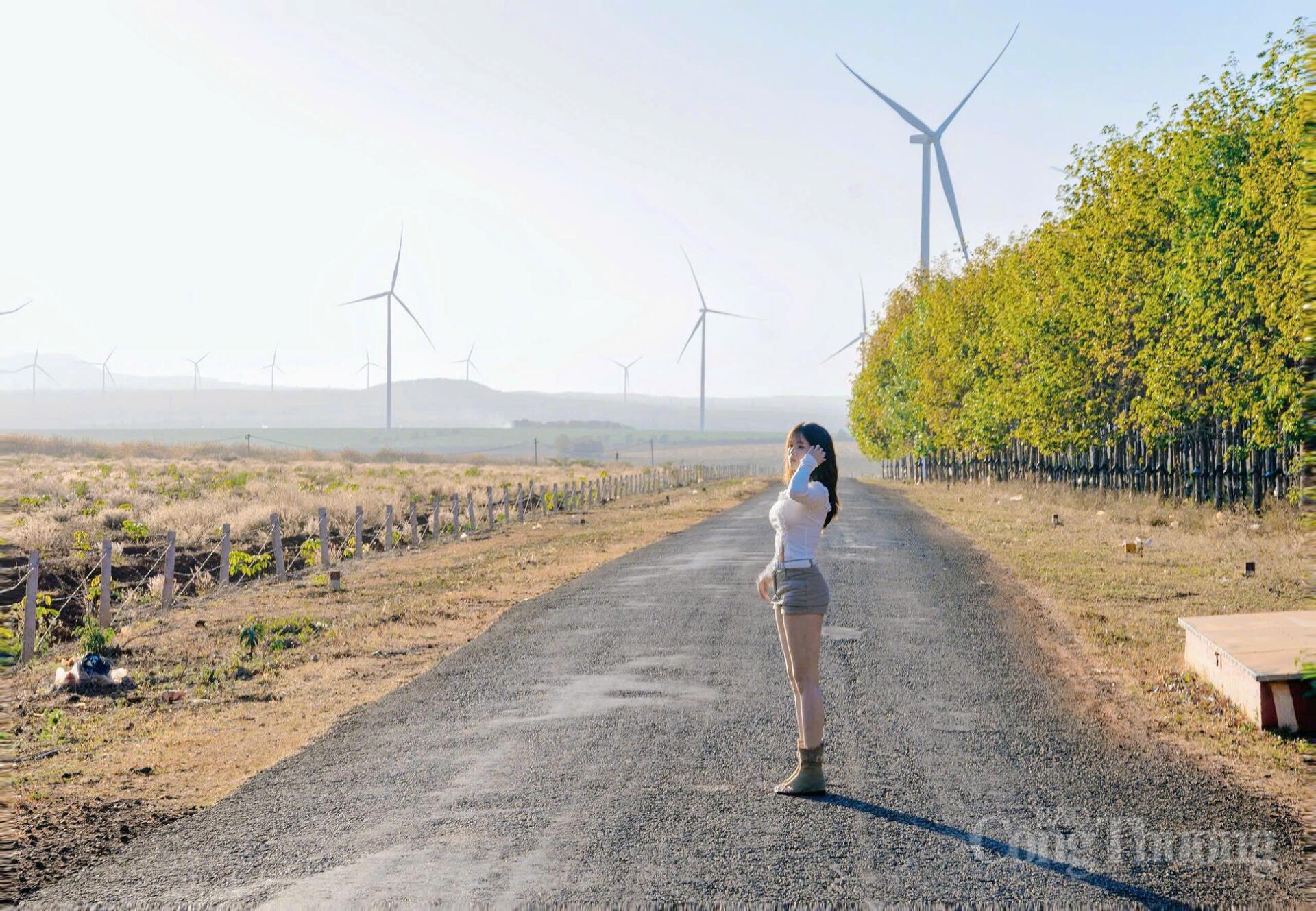 Giới trẻ thích thú 'check-in' cánh đồng điện gió đẹp tựa trời Âu - 2