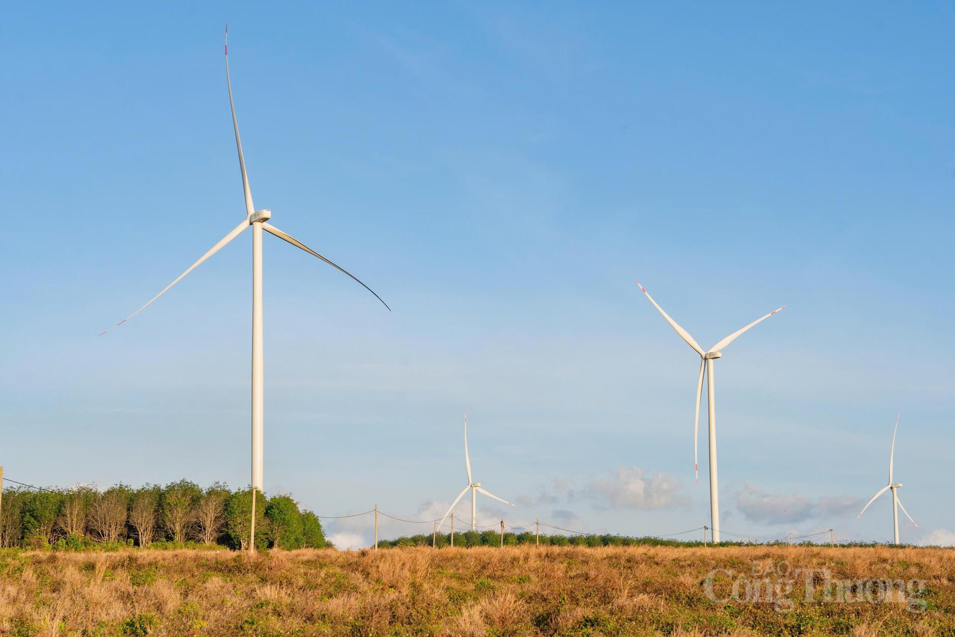 Giới trẻ thích thú 'check-in' cánh đồng điện gió đẹp tựa trời Âu - 1