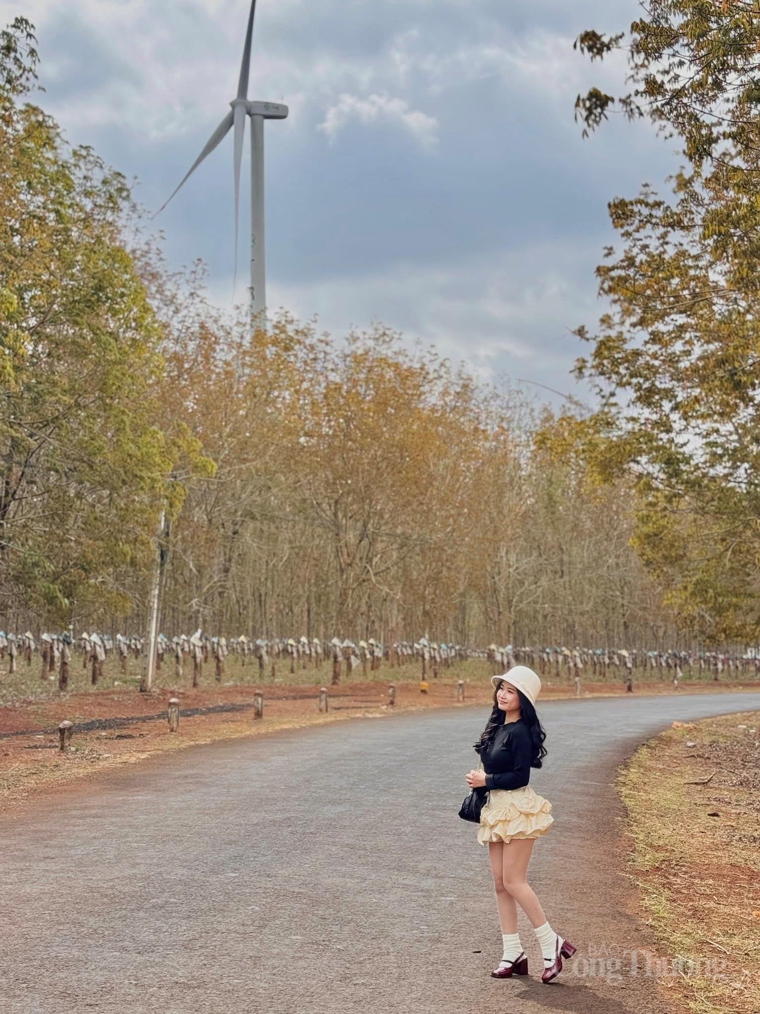 Giới trẻ thích thú 'check-in' cánh đồng điện gió đẹp tựa trời Âu - 9