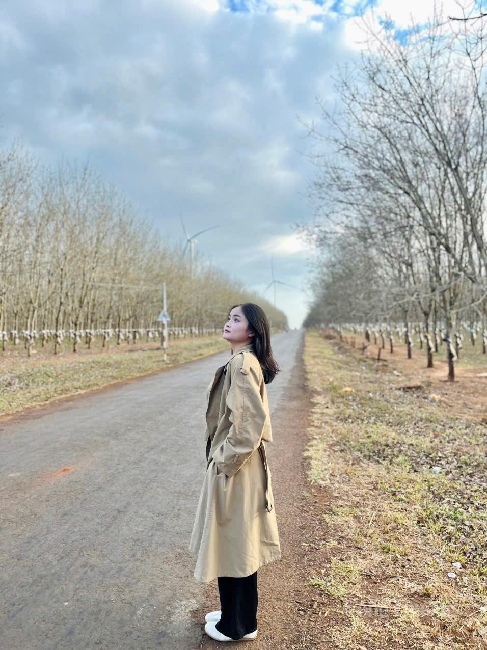 Giới trẻ thích thú 'check-in' cánh đồng điện gió đẹp tựa trời Âu - 5