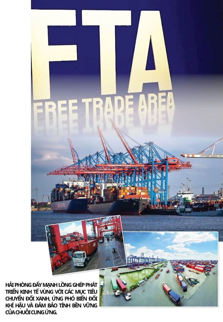 Hải Phòng đặt mục tiêu nâng cao thứ hạng trong FTA Index - 5