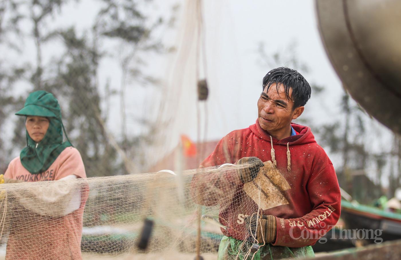 Ngư dân Hà Tĩnh phấn khởi trúng đậm 'lộc biển' - 6
