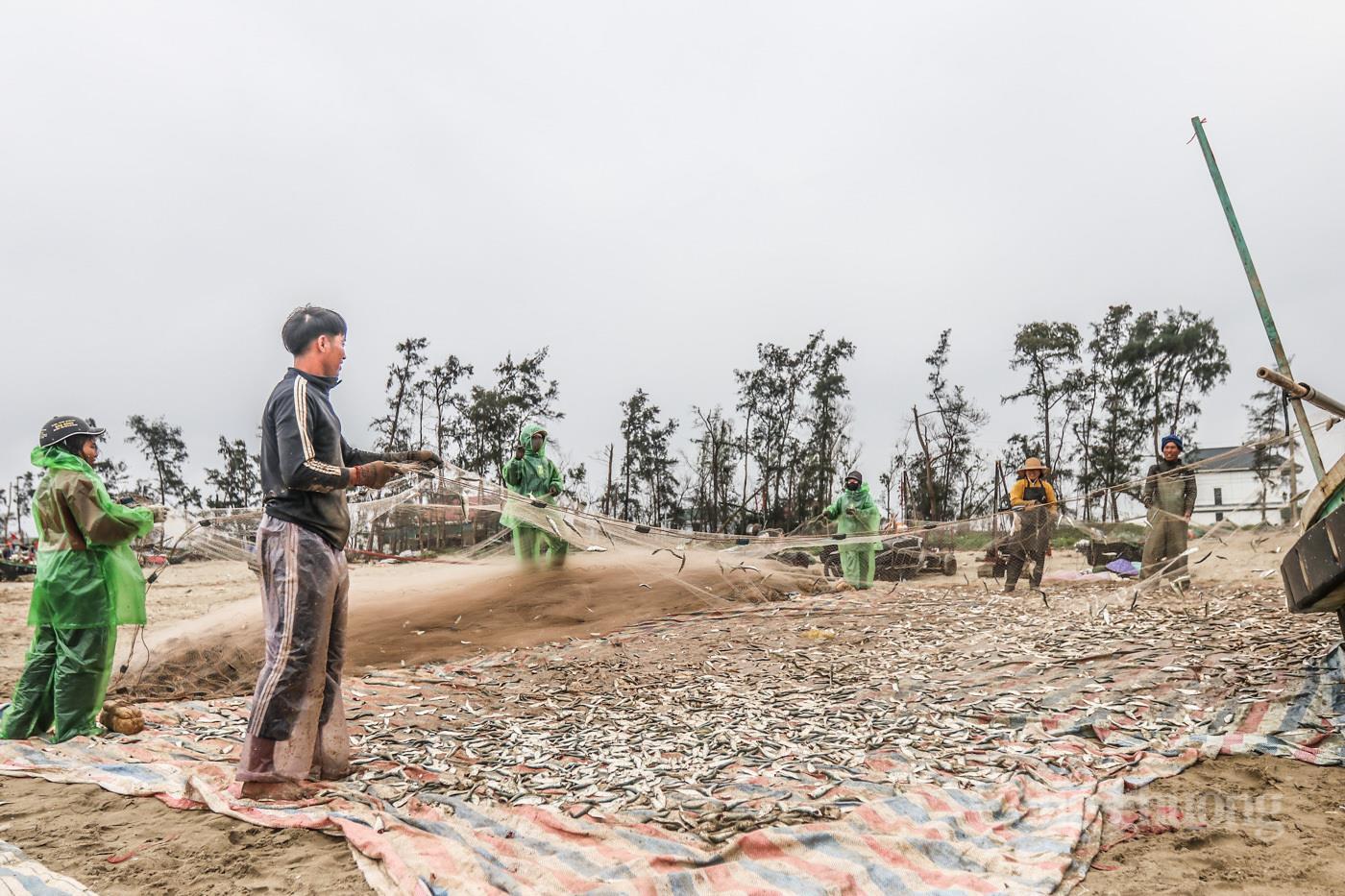 Ngư dân Hà Tĩnh phấn khởi trúng đậm 'lộc biển' - 1