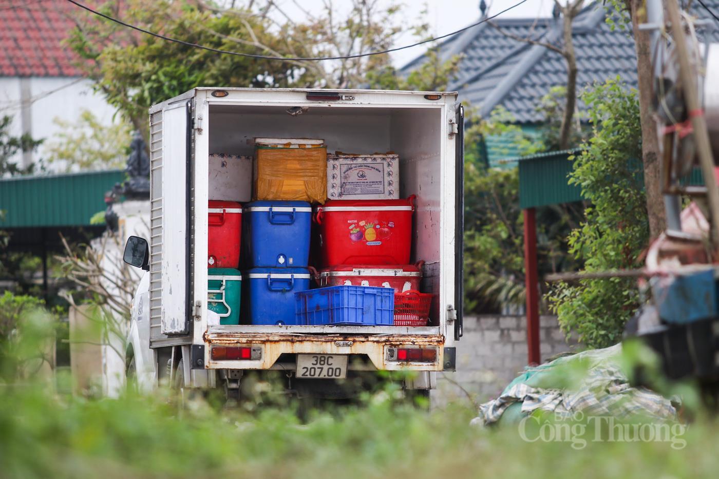 Ngư dân Hà Tĩnh phấn khởi trúng đậm 'lộc biển' - 14