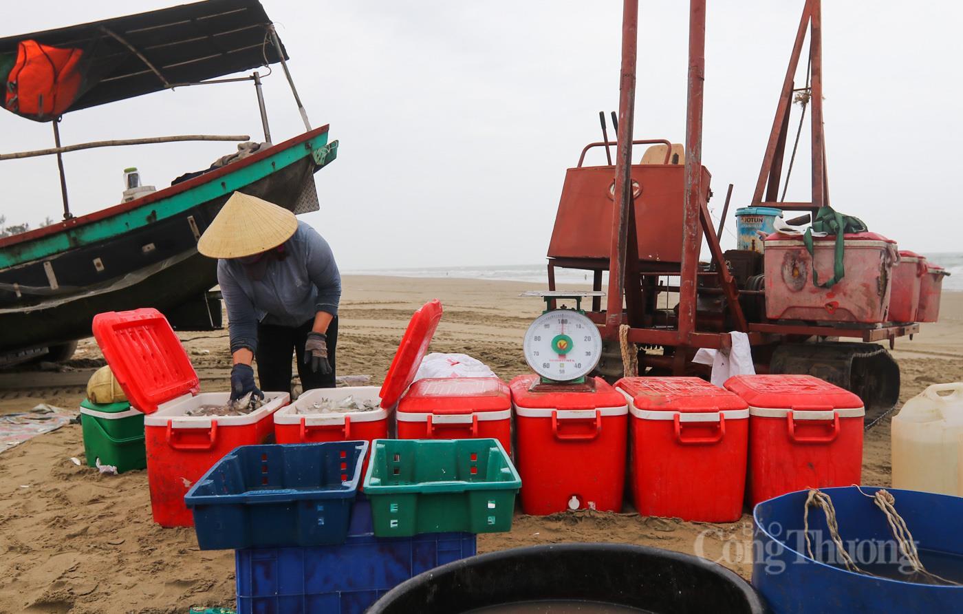 Ngư dân Hà Tĩnh phấn khởi trúng đậm 'lộc biển' - 15