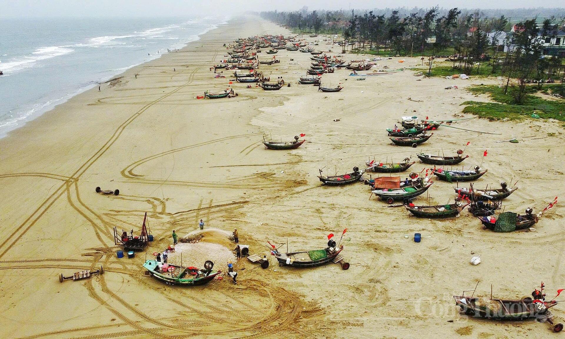 Ngư dân Hà Tĩnh phấn khởi trúng đậm 'lộc biển' - 2