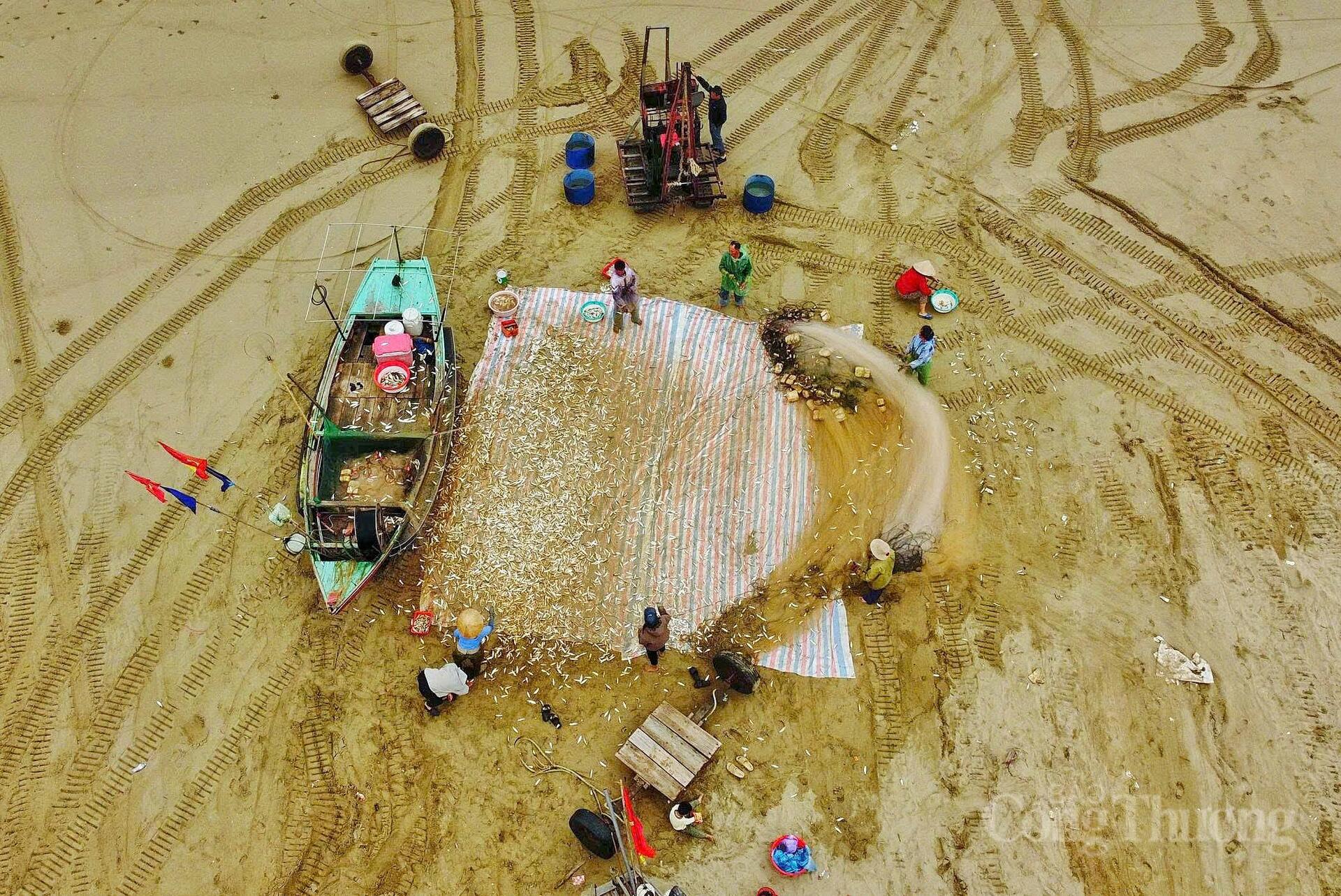 Ngư dân Hà Tĩnh phấn khởi trúng đậm 'lộc biển' - 9