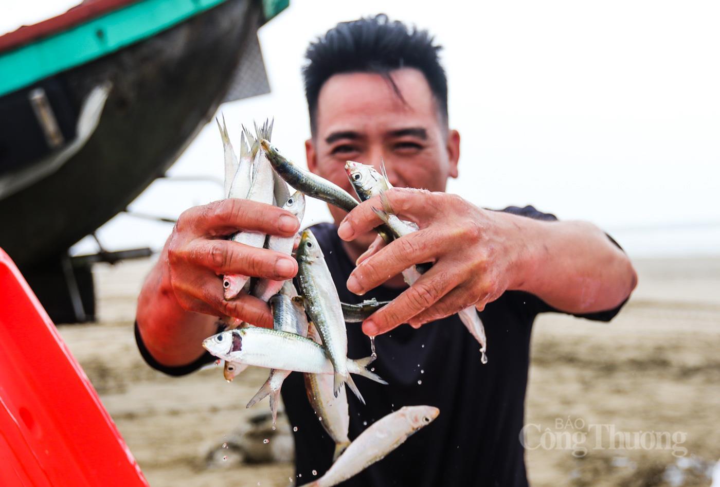 Ngư dân Hà Tĩnh phấn khởi trúng đậm 'lộc biển' - 3
