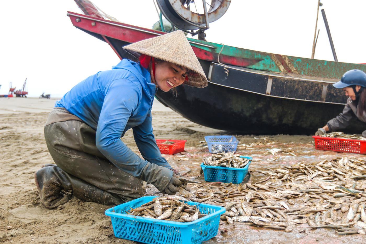 Ngư dân Hà Tĩnh phấn khởi trúng đậm 'lộc biển' - 7