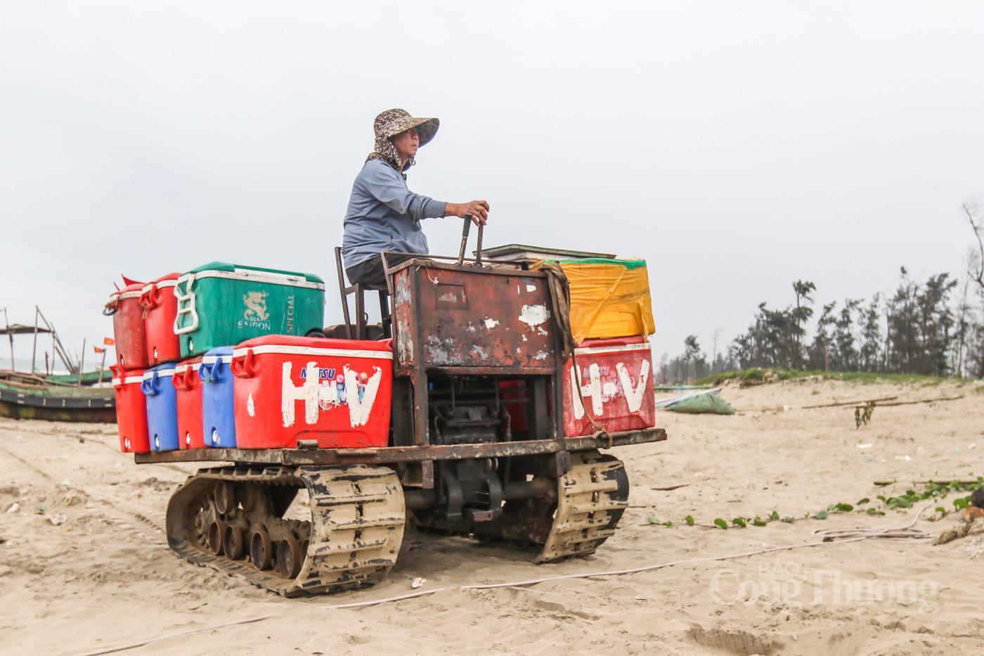 Ngư dân Hà Tĩnh phấn khởi trúng đậm 'lộc biển' - 12