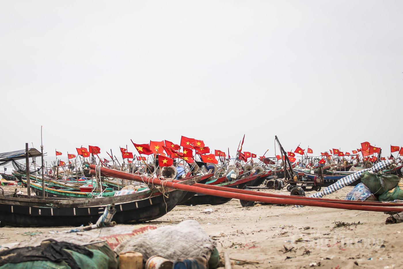 Ngư dân Hà Tĩnh phấn khởi trúng đậm 'lộc biển' - 16