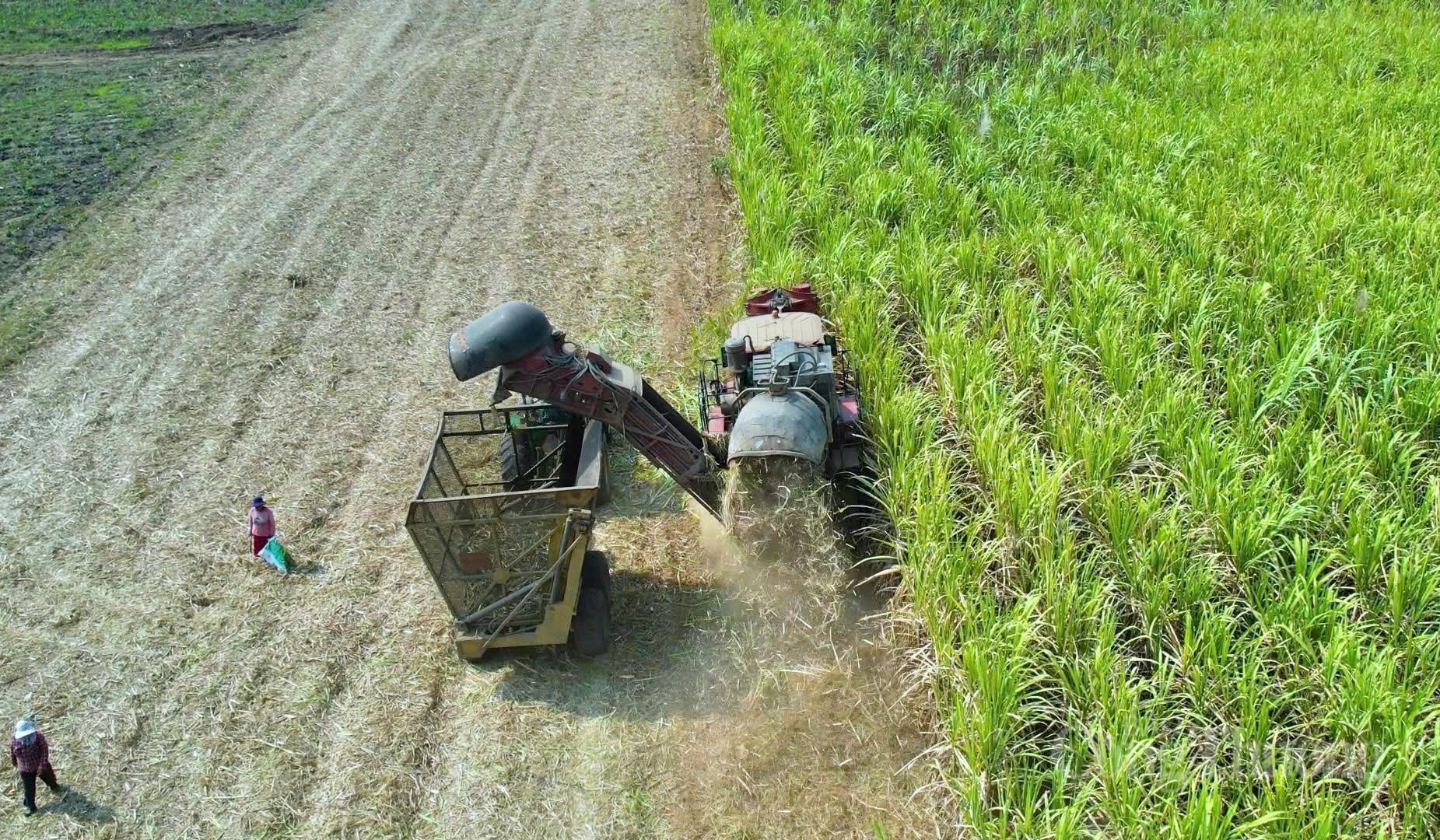 Nông dân Gia Lai đổi đời nhờ chuyển đổi xanh - 3