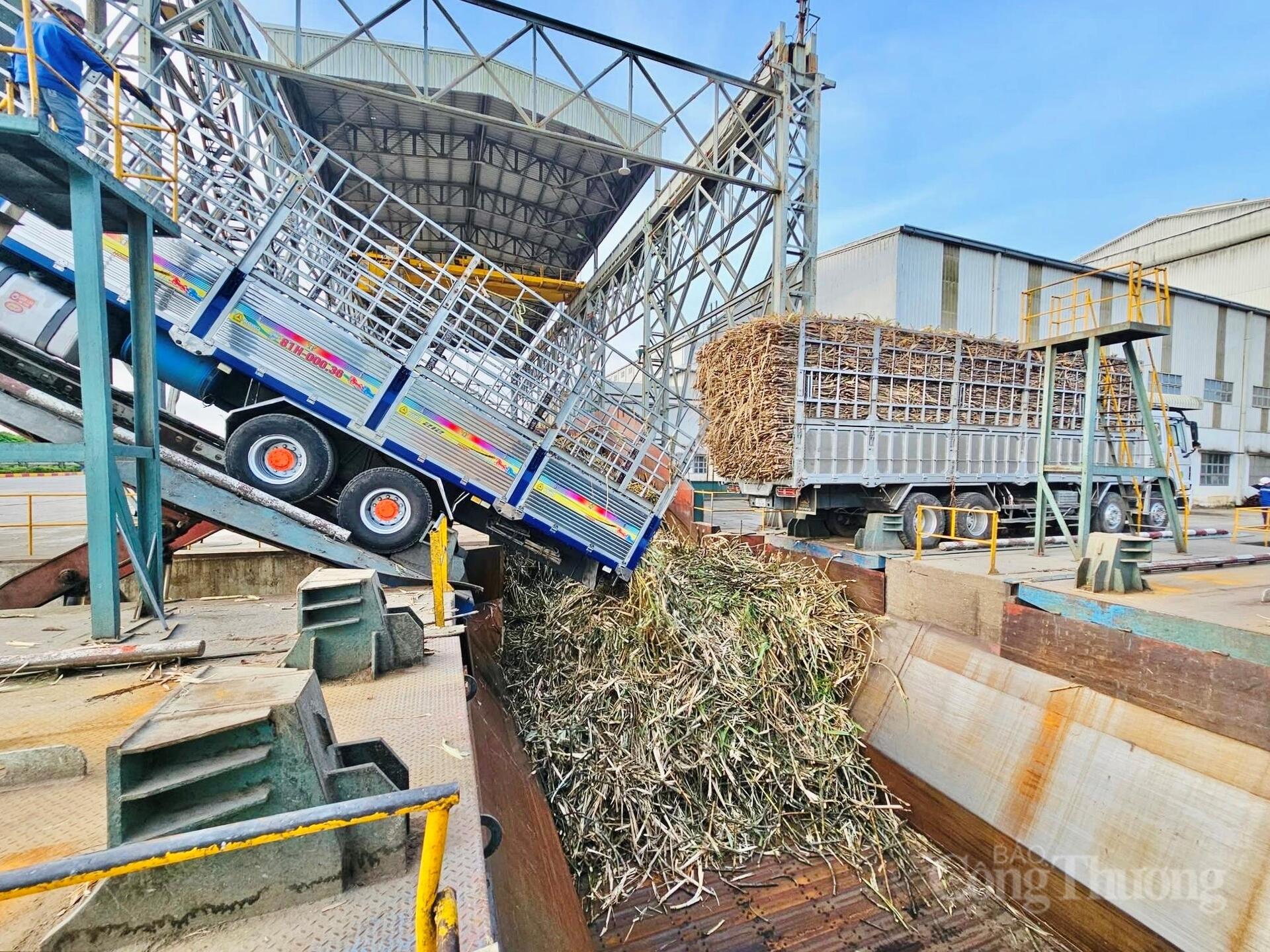 Nông dân Gia Lai đổi đời nhờ chuyển đổi xanh - 6