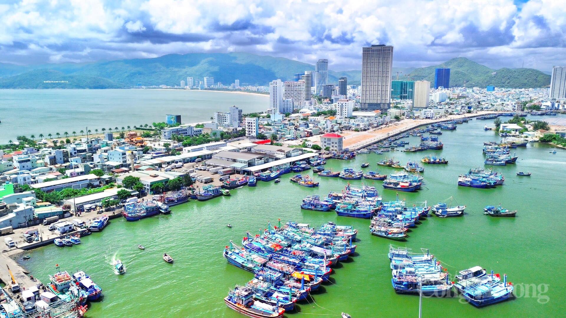 Nhịp mưu sinh rộn ràng ở cảng cá lớn nhất Gia Lai - 1