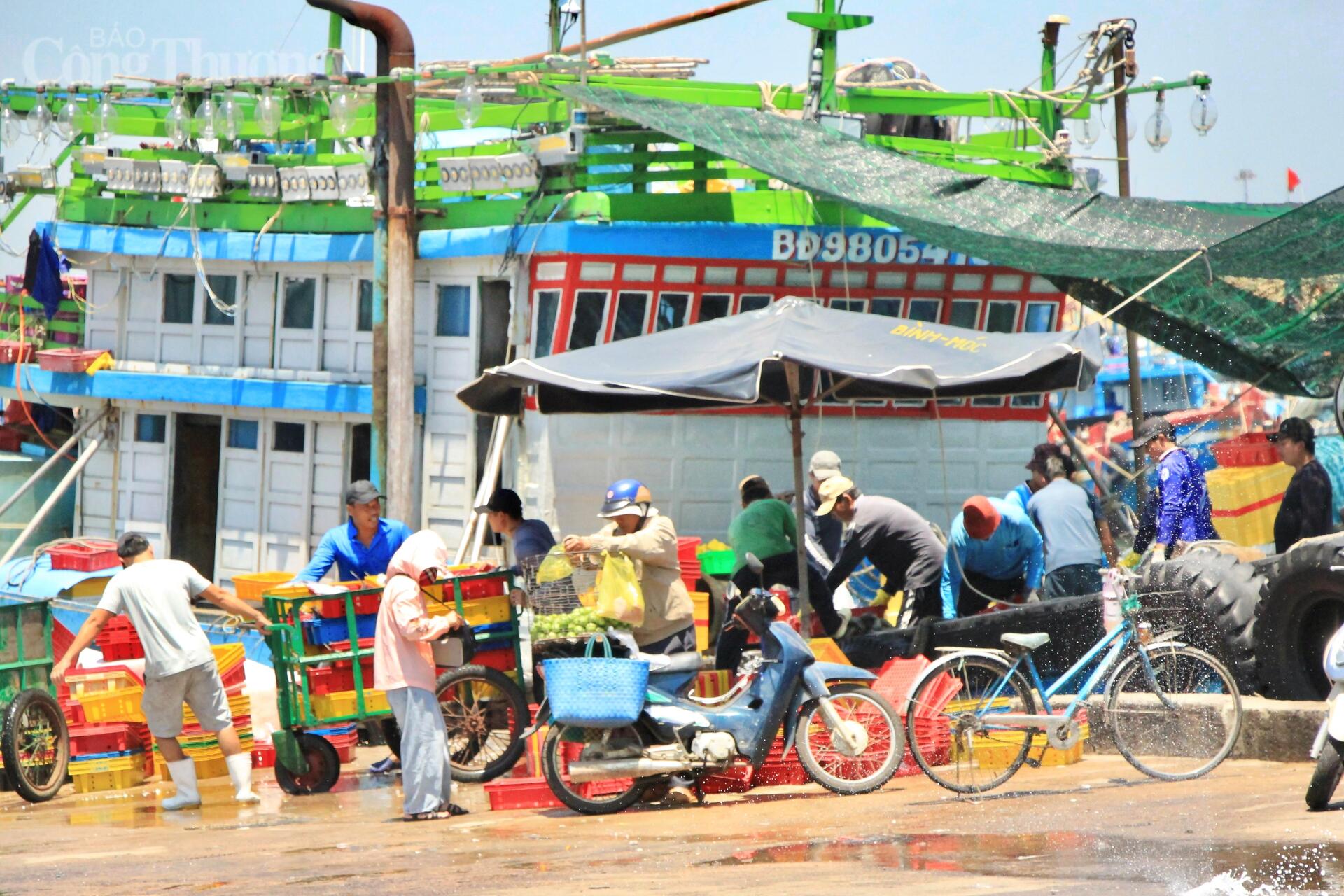 Nhịp mưu sinh rộn ràng ở cảng cá lớn nhất Gia Lai - 4