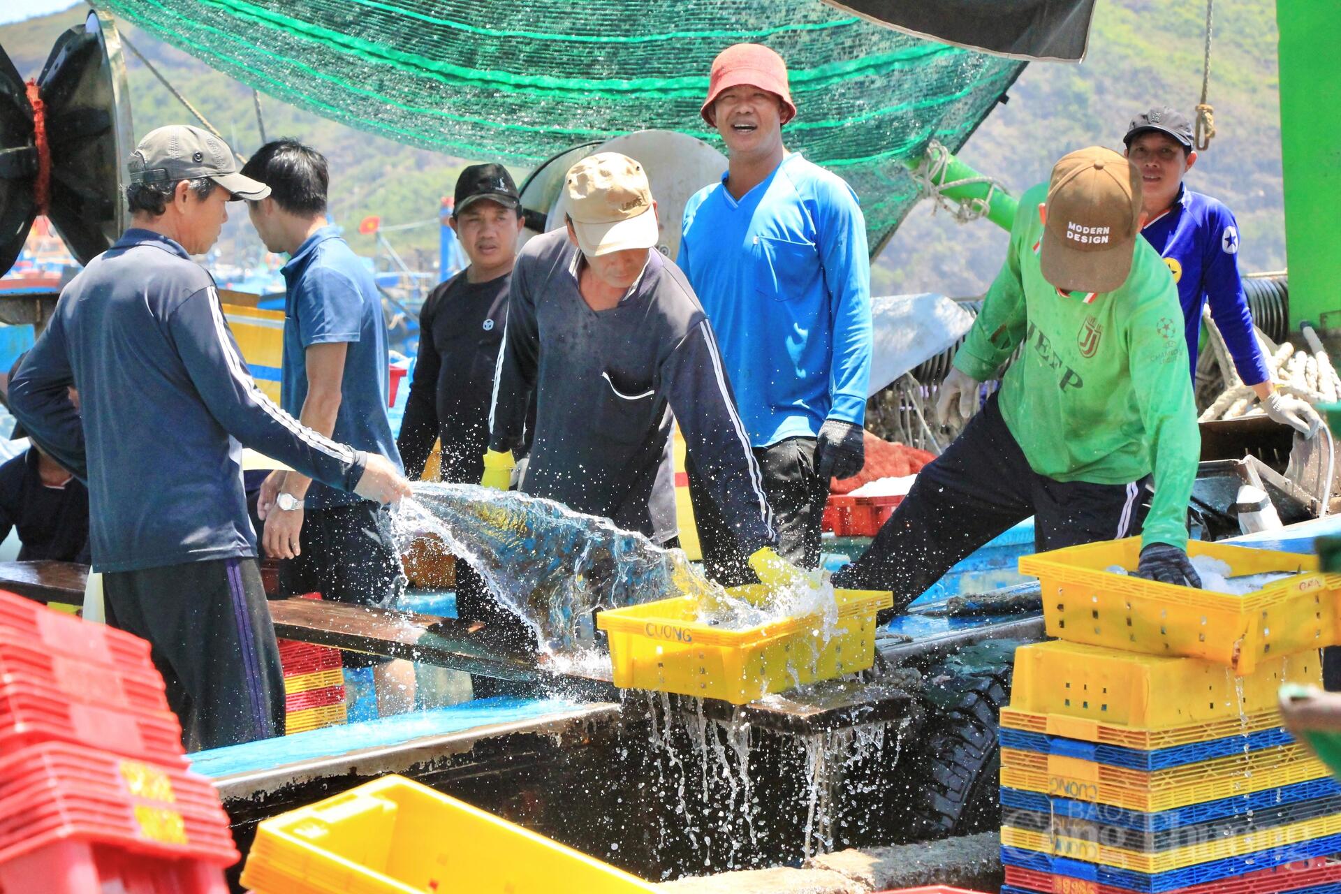 Nhịp mưu sinh rộn ràng ở cảng cá lớn nhất Gia Lai - 5