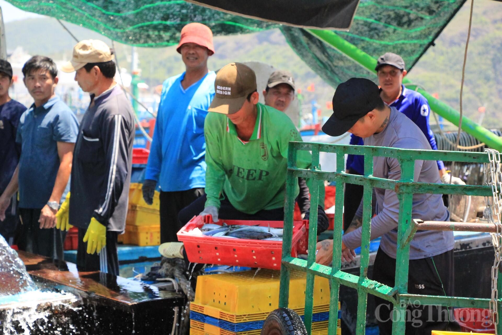 Nhịp mưu sinh rộn ràng ở cảng cá lớn nhất Gia Lai - 6