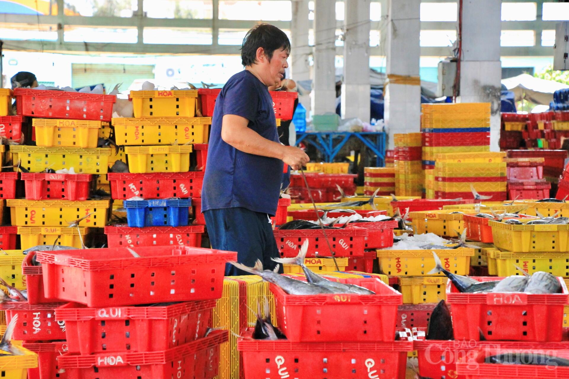 Nhịp mưu sinh rộn ràng ở cảng cá lớn nhất Gia Lai - 12