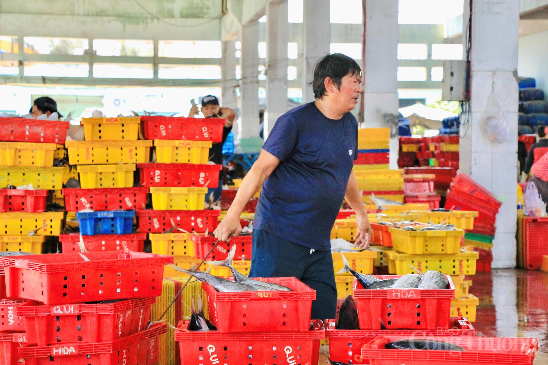 Nhịp mưu sinh rộn ràng ở cảng cá lớn nhất Gia Lai - 14