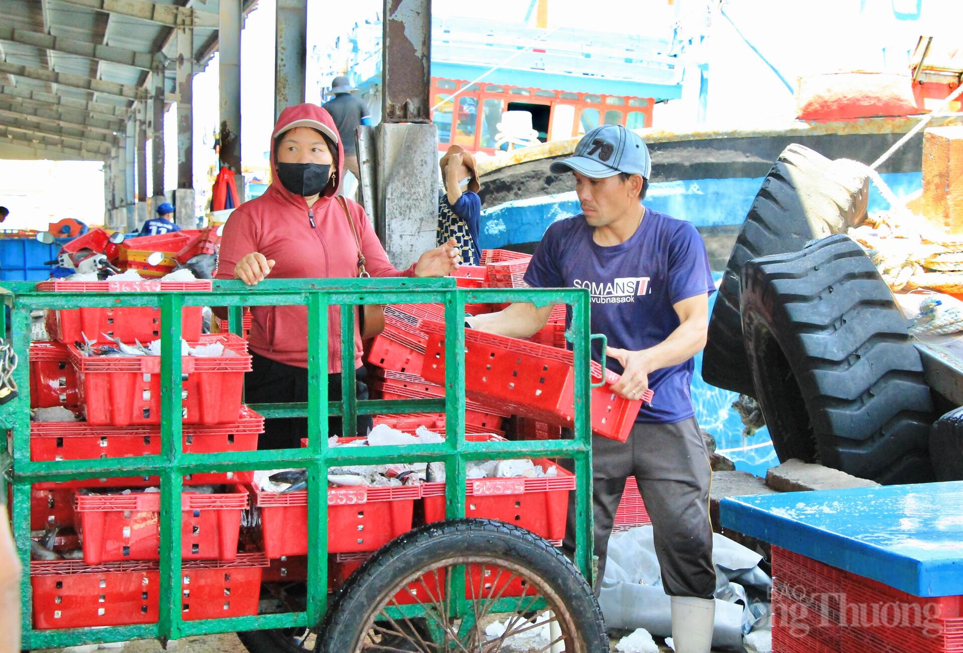 Nhịp mưu sinh rộn ràng ở cảng cá lớn nhất Gia Lai - 13