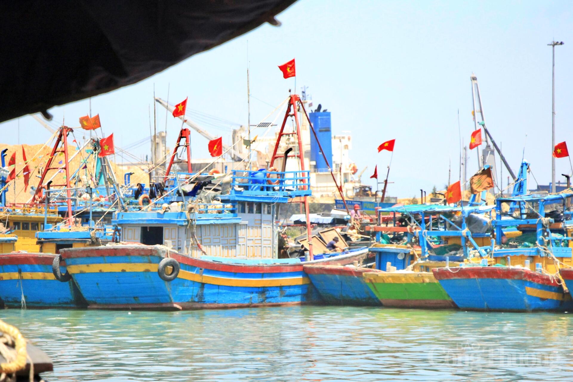 Nhịp mưu sinh rộn ràng ở cảng cá lớn nhất Gia Lai - 18