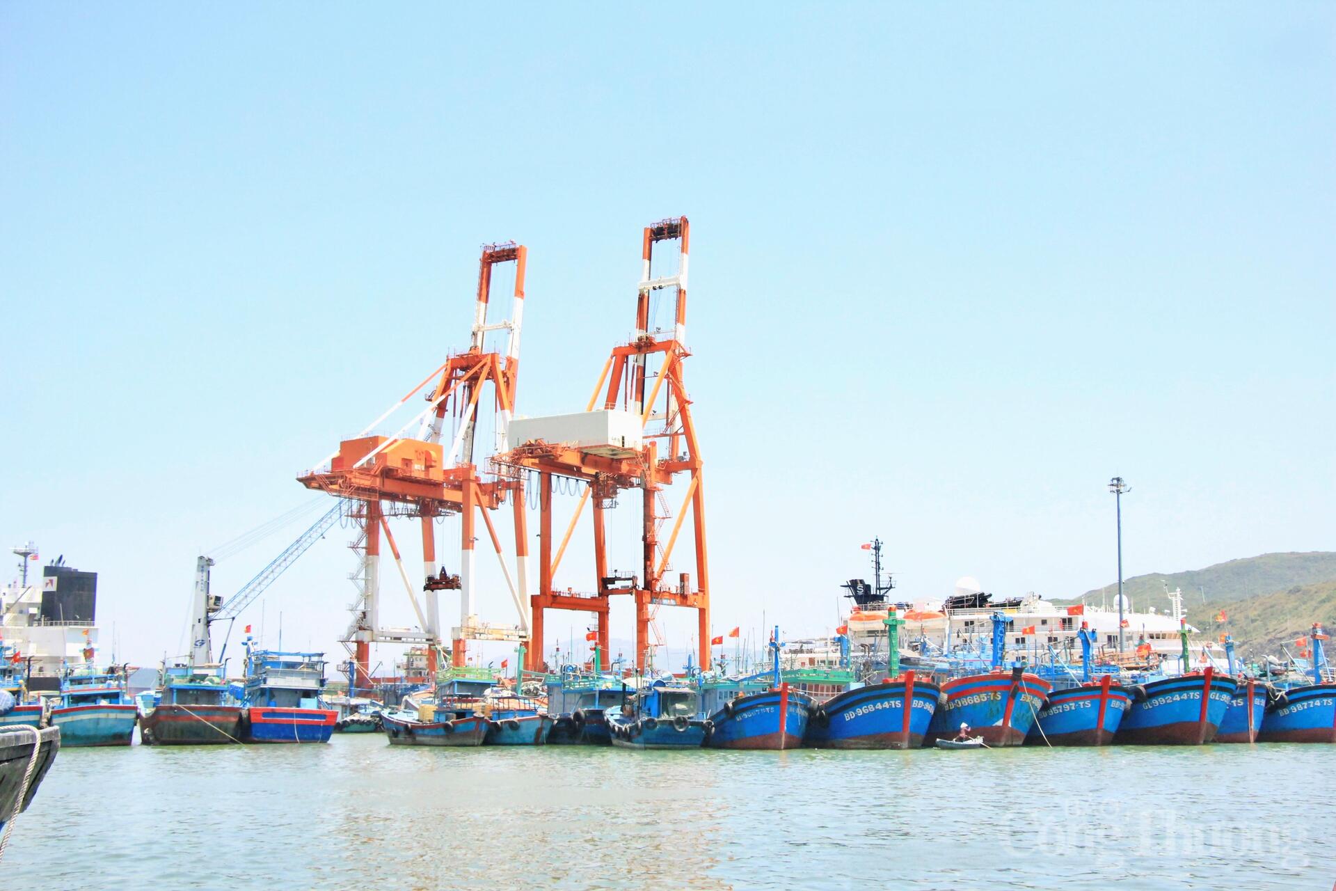 Nhịp mưu sinh rộn ràng ở cảng cá lớn nhất Gia Lai - 2