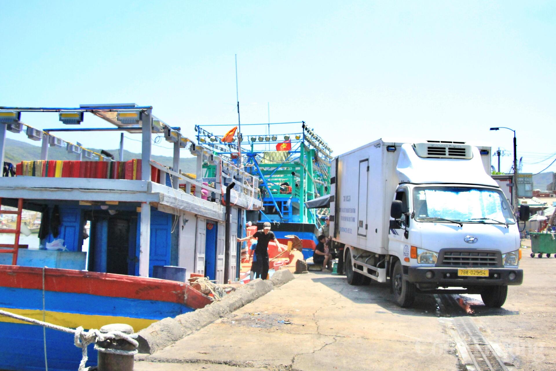 Nhịp mưu sinh rộn ràng ở cảng cá lớn nhất Gia Lai - 17