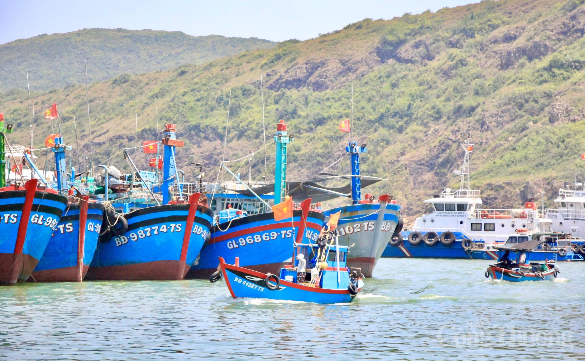 Nhịp mưu sinh rộn ràng ở cảng cá lớn nhất Gia Lai - 3