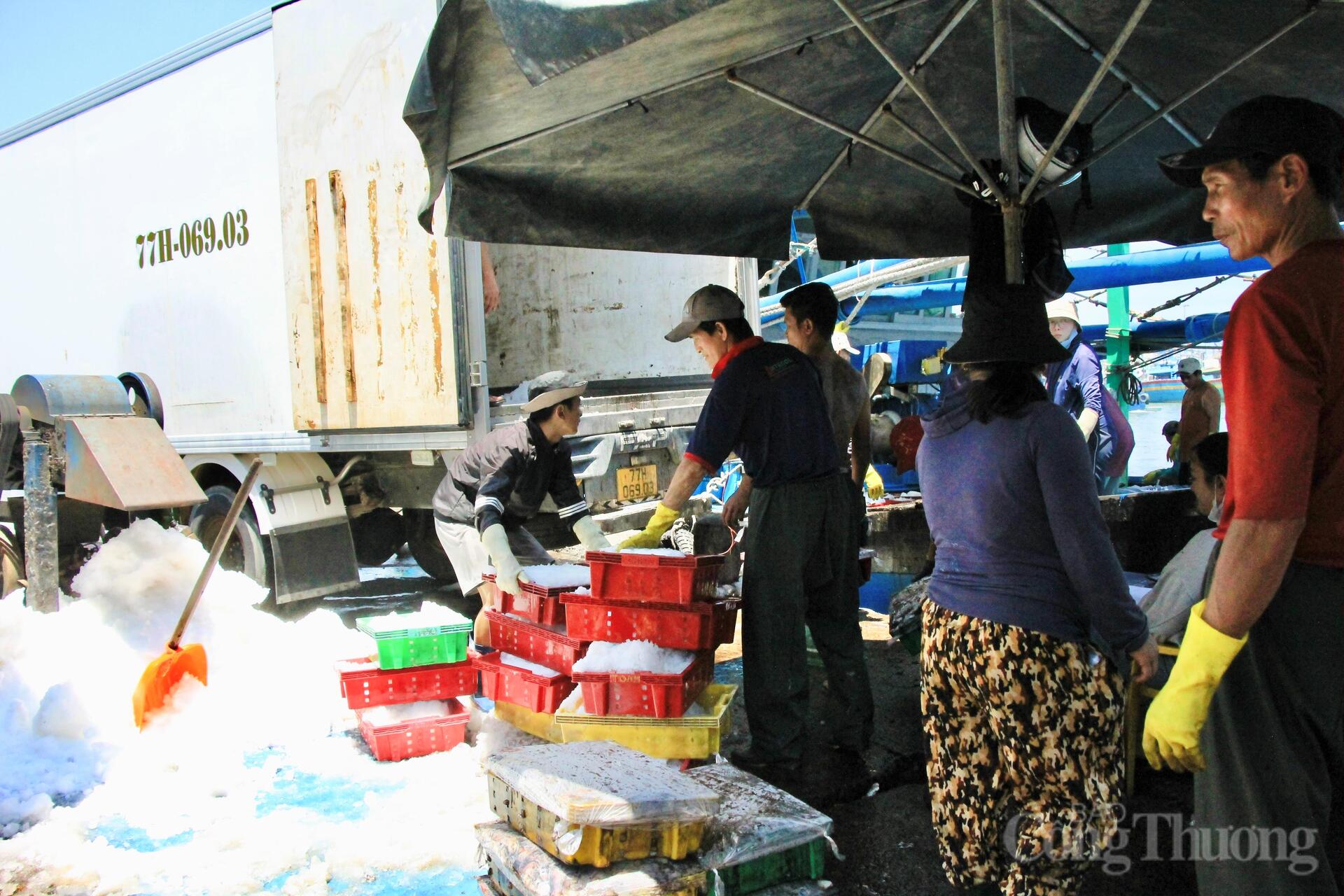 Nhịp mưu sinh rộn ràng ở cảng cá lớn nhất Gia Lai - 16