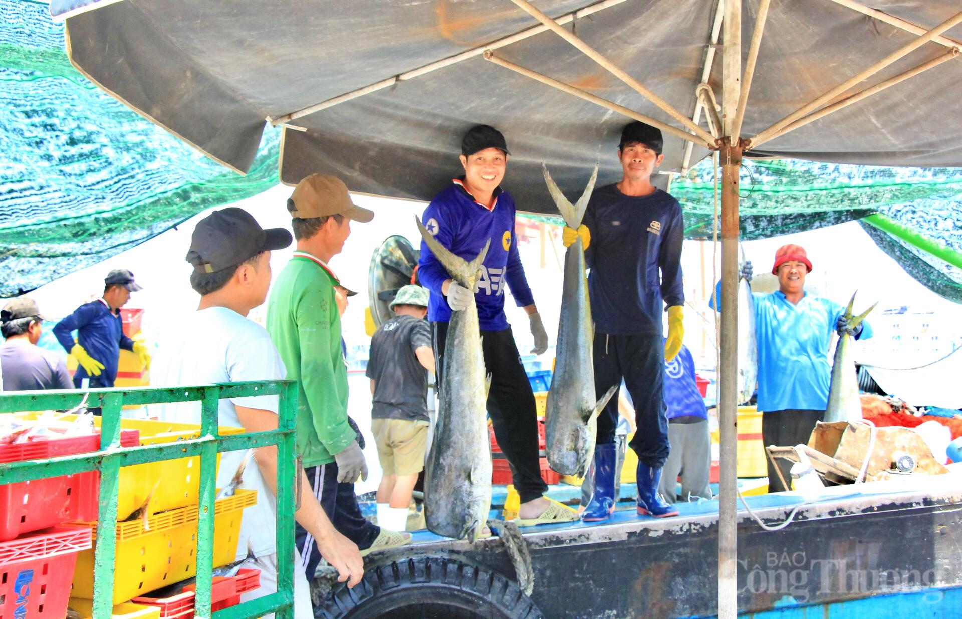 Nhịp mưu sinh rộn ràng ở cảng cá lớn nhất Gia Lai - 9