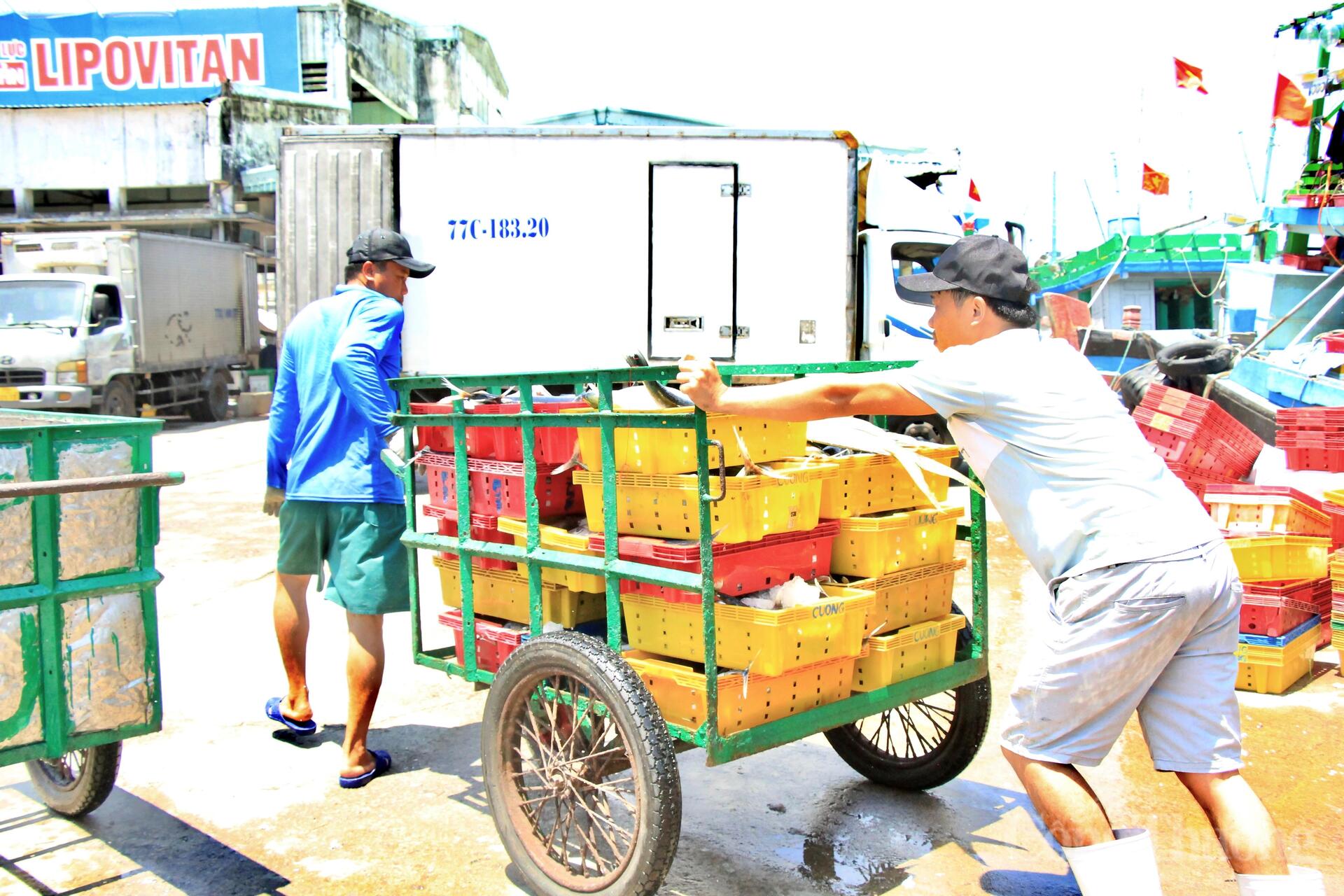 Nhịp mưu sinh rộn ràng ở cảng cá lớn nhất Gia Lai - 15