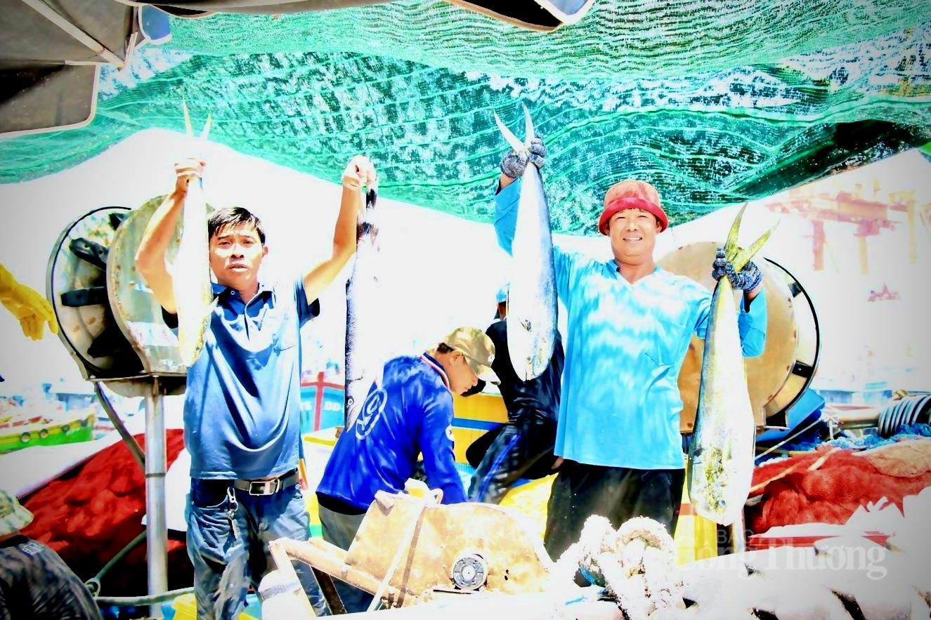 Nhịp mưu sinh rộn ràng ở cảng cá lớn nhất Gia Lai - 8