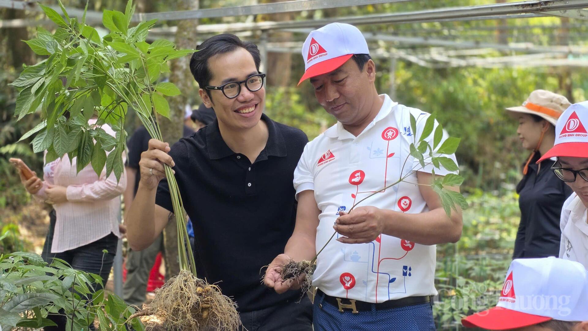 Theo dấu 'quốc bảo sâm Việt' trên đỉnh Ngọc Linh - 7