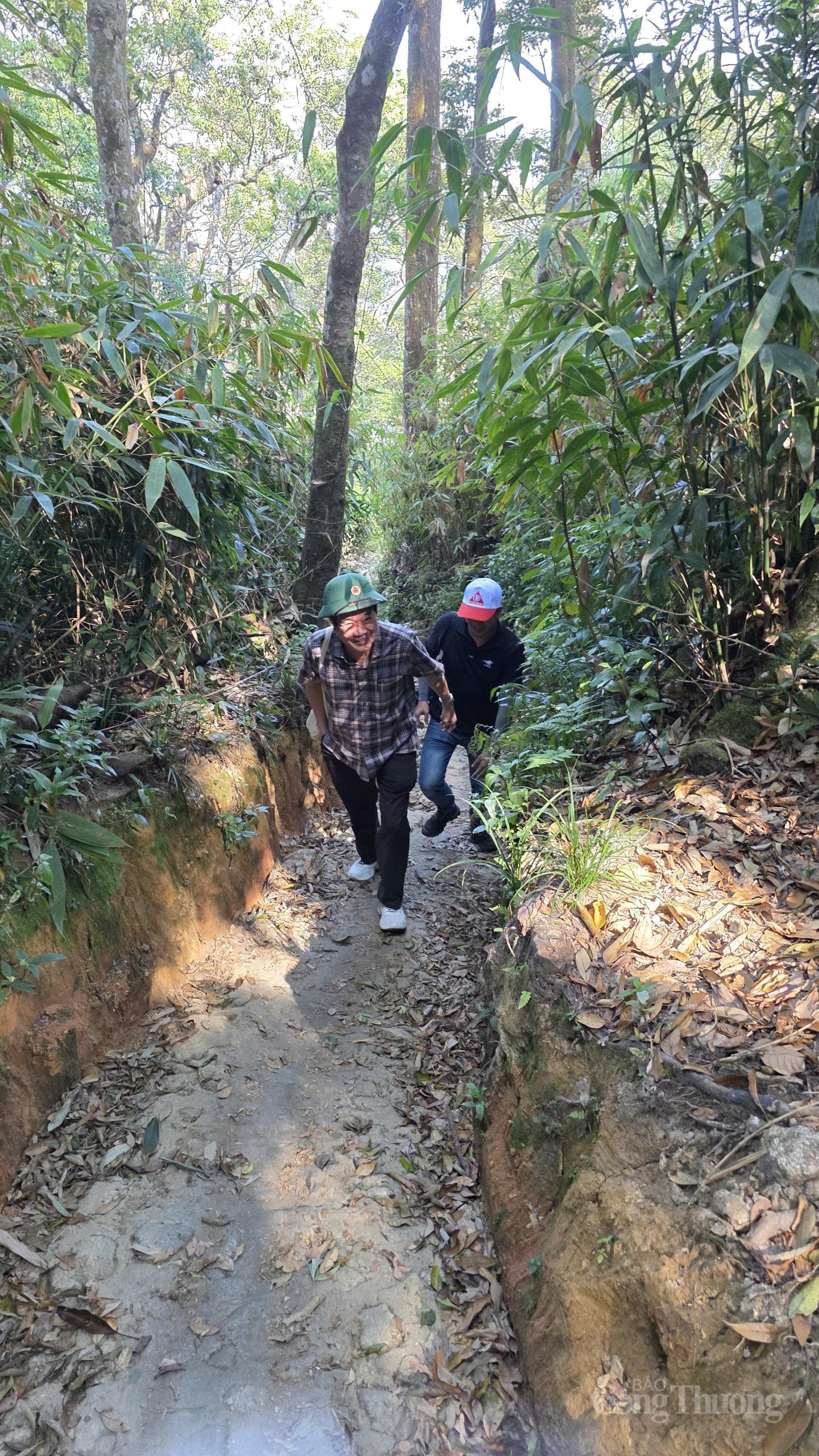 Theo dấu 'quốc bảo sâm Việt' trên đỉnh Ngọc Linh - 2