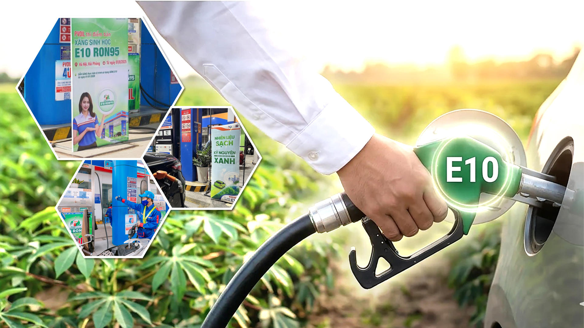 Nhiều lợi ích thiết thực khi sử dụng xăng sinh học E10