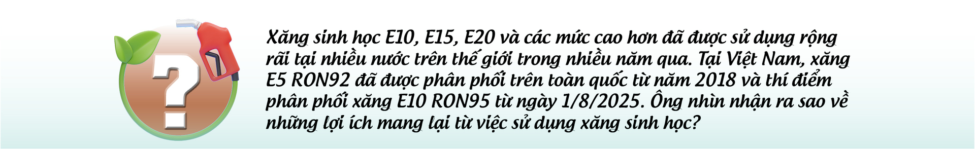 Đẩy nhanh lộ trình đưa xăng sinh học ra thị trường: Bước đi cần thiết đảm bảo an ninh năng lượng - 3