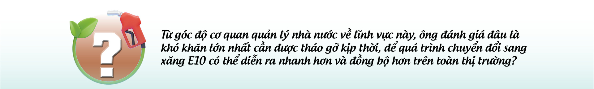 Đẩy nhanh lộ trình đưa xăng sinh học ra thị trường: Bước đi cần thiết đảm bảo an ninh năng lượng - 8