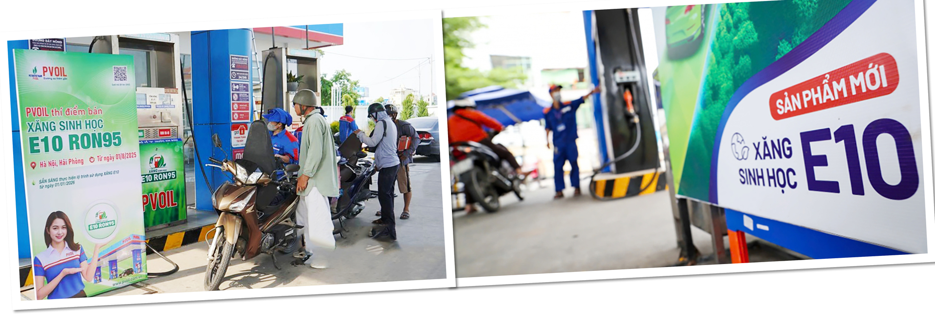 Người tiêu dùng phản hồi tích cực với xăng E10