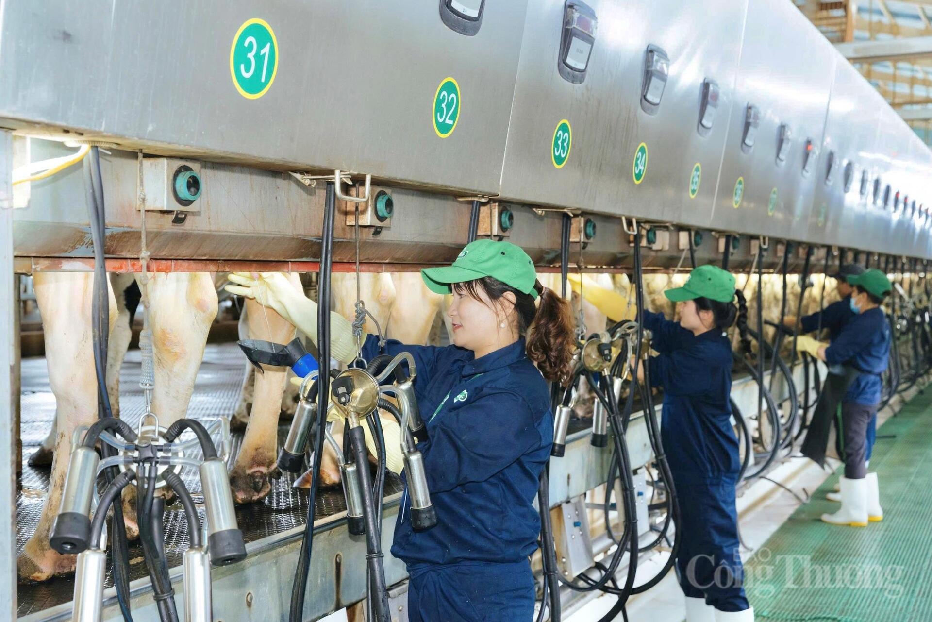 Thu hẹp khoảng cách 'chủ trương - thực tiễn' trong tiết kiệm điện - 9