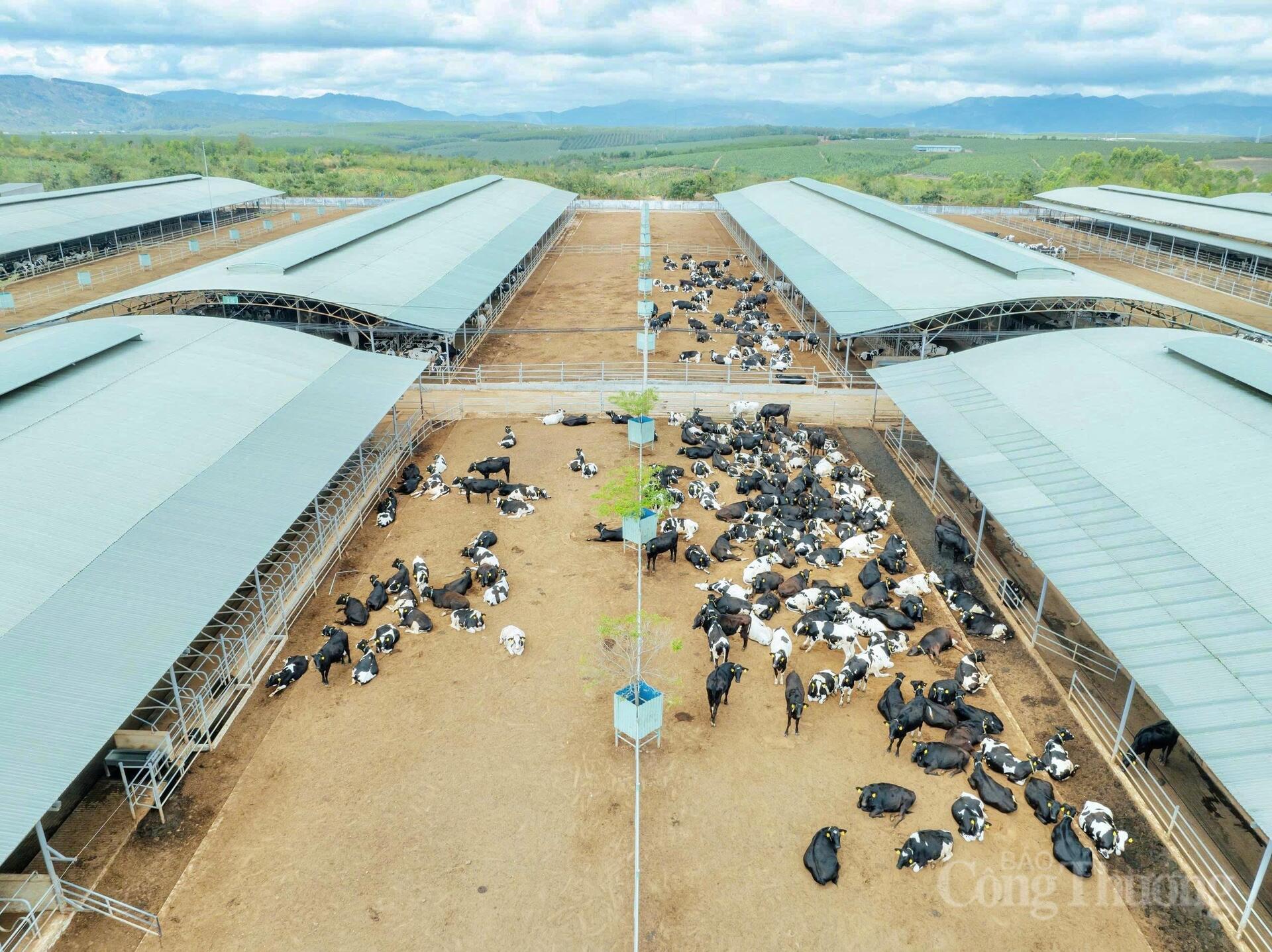 Thu hẹp khoảng cách 'chủ trương - thực tiễn' trong tiết kiệm điện - 7