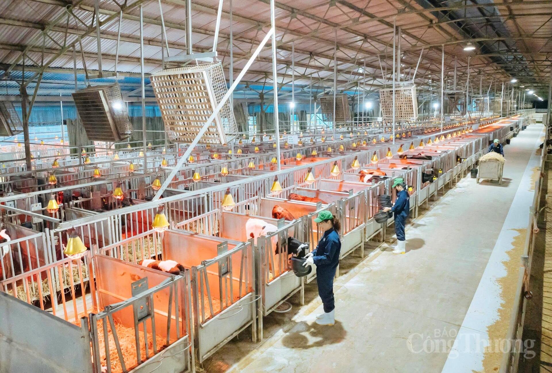 Thu hẹp khoảng cách 'chủ trương - thực tiễn' trong tiết kiệm điện - 8