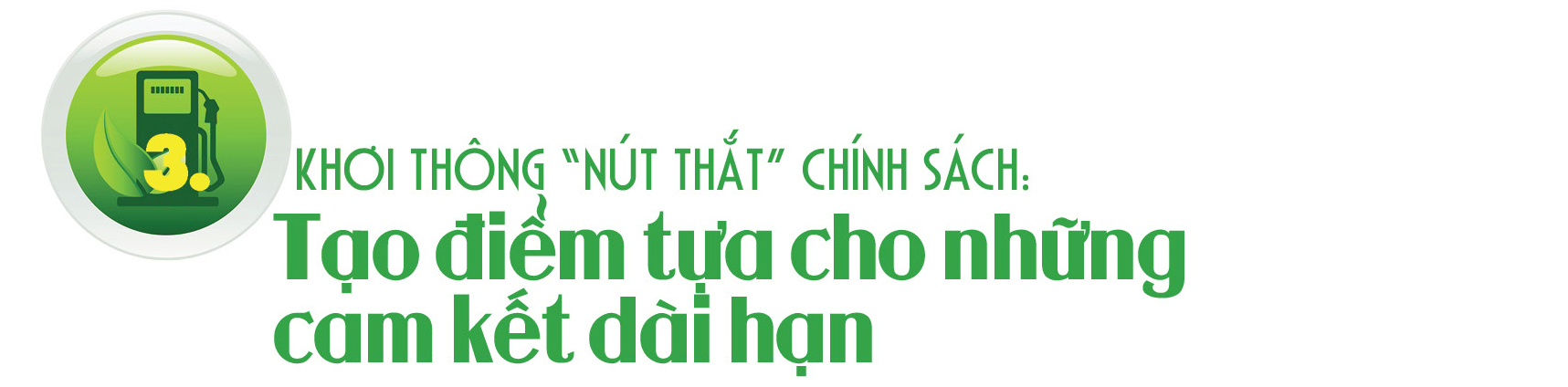 Nhiên liệu sinh học: Mệnh lệnh chiến lược vì tự chủ năng lượng quốc gia - Bài 2: Doanh nghiệp xăng dầu tái cấu trúc: Khi Ethanol trở thành 'hộ chiếu' - 8