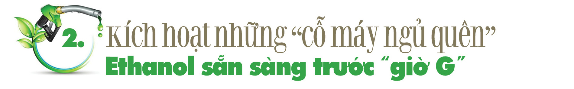 Nhiên liệu sinh học: Mệnh lệnh chiến lược vì tự chủ năng lượng quốc gia - Bài 1: Hồi sinh những nhà máy 'ngủ quên' - 5