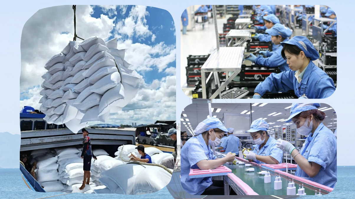 Chuyên gia Lại Tiến Mạnh: Đừng 'ngủ quên' trên chiếc 'gối êm' gia công - 5