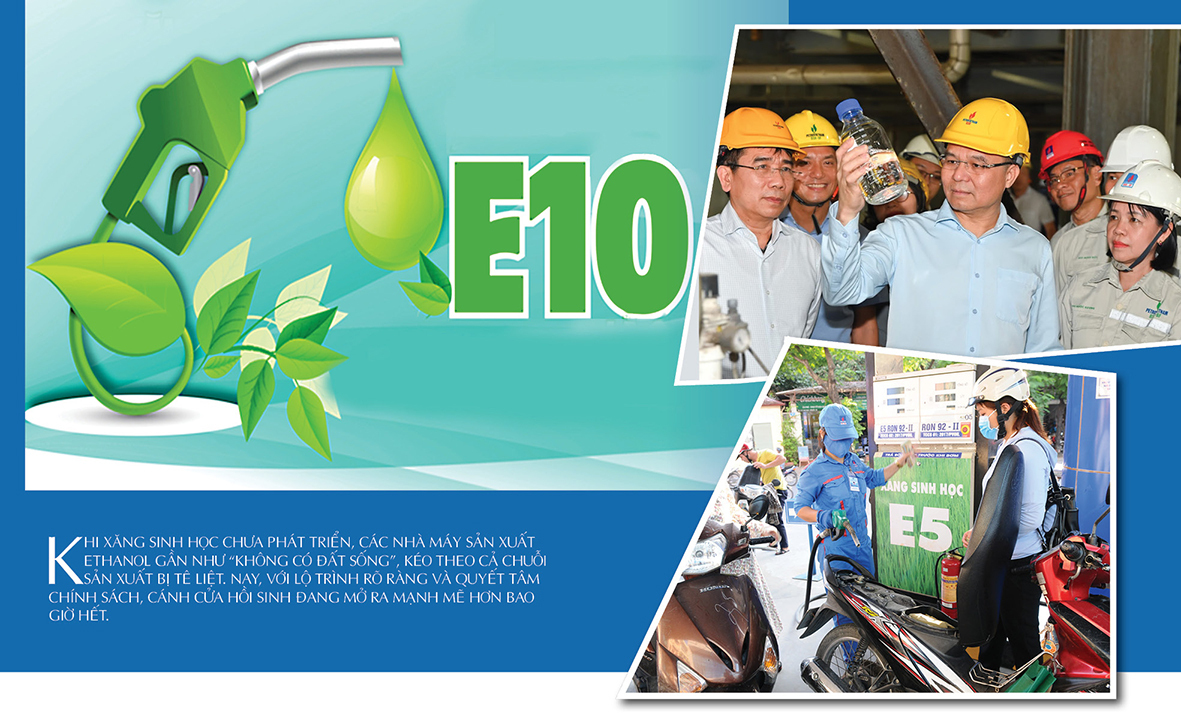 Nhiên liệu sinh học: Mệnh lệnh chiến lược vì tự chủ năng lượng quốc gia - Bài 1: Hồi sinh những nhà máy 'ngủ quên' - 7