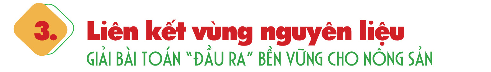 Nhiên liệu sinh học: Mệnh lệnh chiến lược vì tự chủ năng lượng quốc gia - Bài 4: ‘Phép thử’ cho bản lĩnh tự chủ năng lượng quốc gia - 6