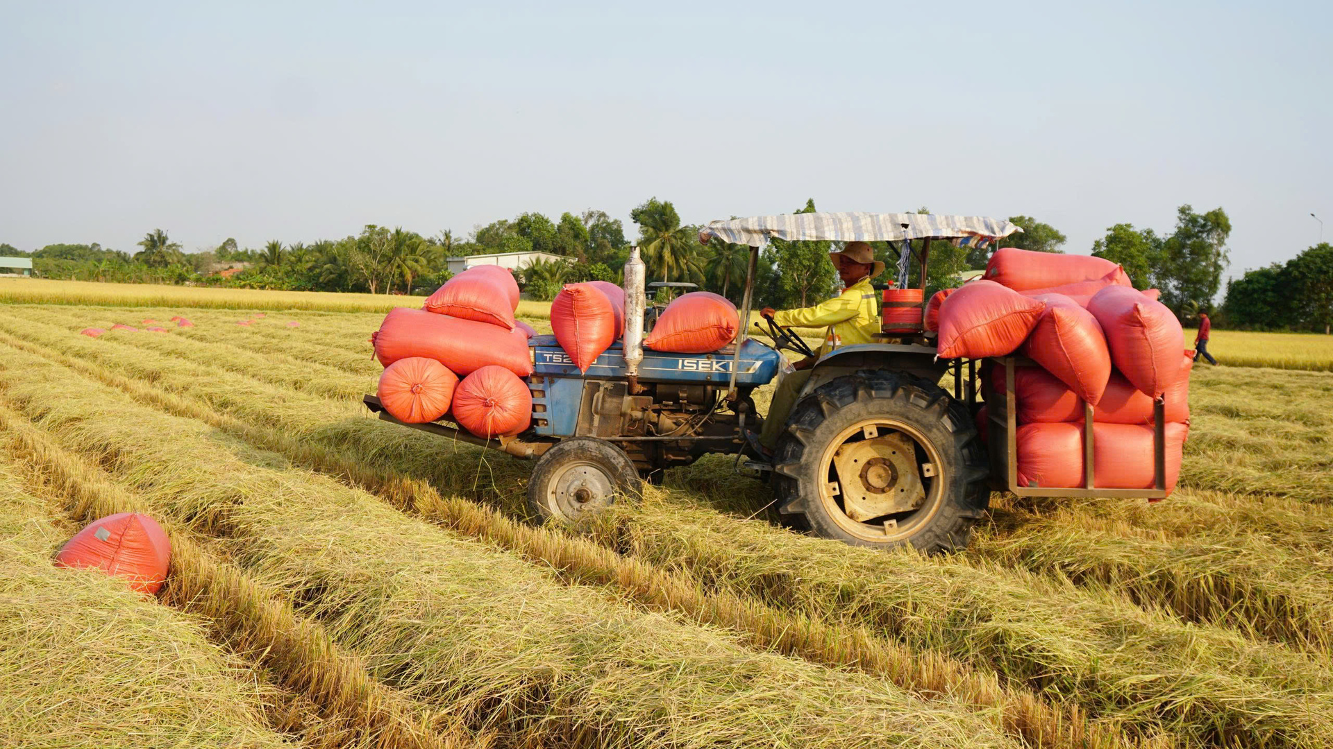 Tự chủ chiến lược vì một Việt Nam tự lực, tự cường và tự tin - Kỳ 5: Cuộc đột phá vào lõi giá trị - 3