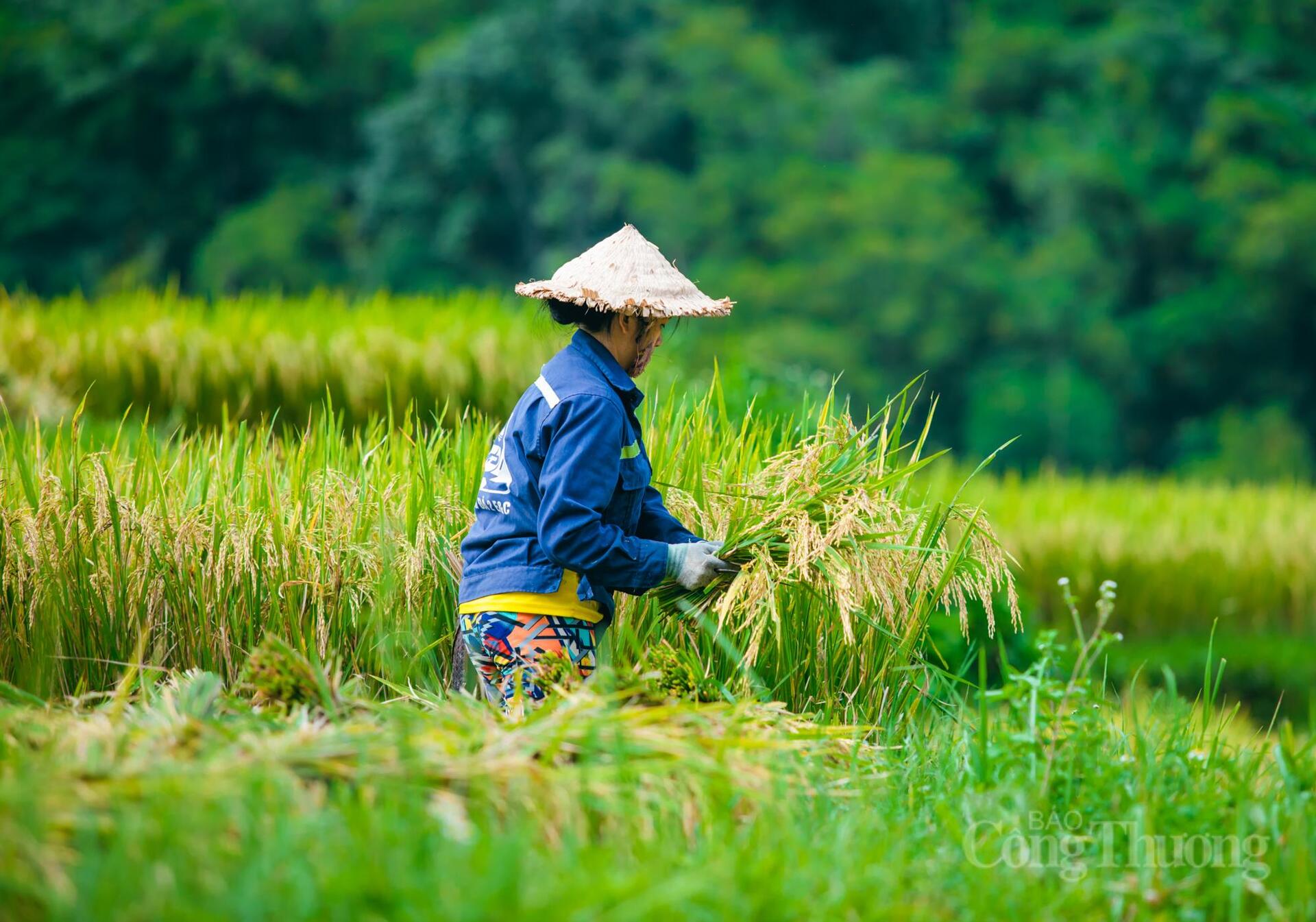 Khám phá xứ Thanh với những điểm đến không thể bỏ lỡ dịp lễ 30/4 - 1/5 - 6