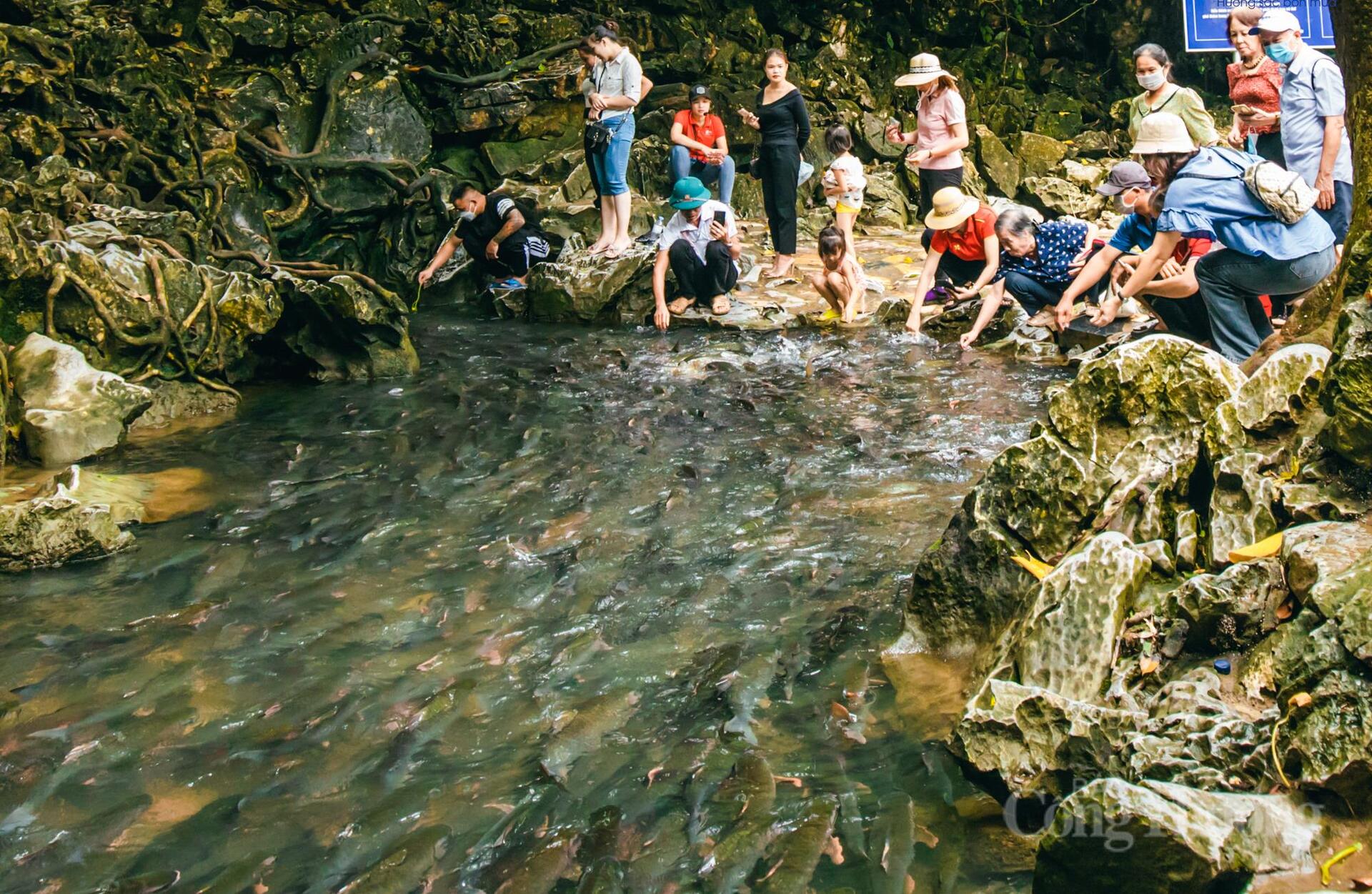 Khám phá xứ Thanh với những điểm đến không thể bỏ lỡ dịp lễ 30/4 - 1/5 - 9