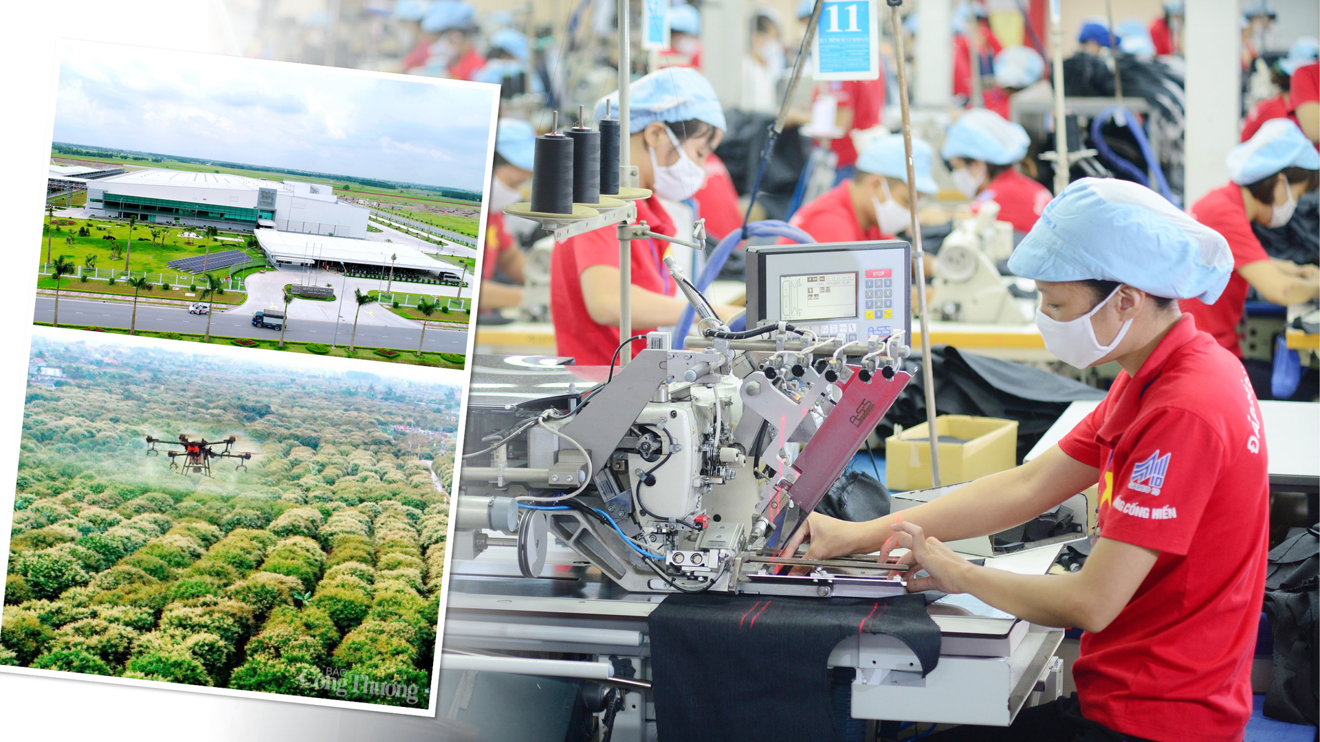 Tăng trưởng cần dựa nhiều hơn vào tri thức, công nghệ, đổi mới sáng tạo, chuyển đổi số